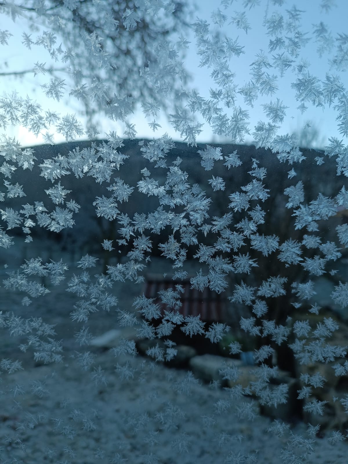 Cristal con copos de nieve adheridos, tras el que se observa un paisaje nevado.